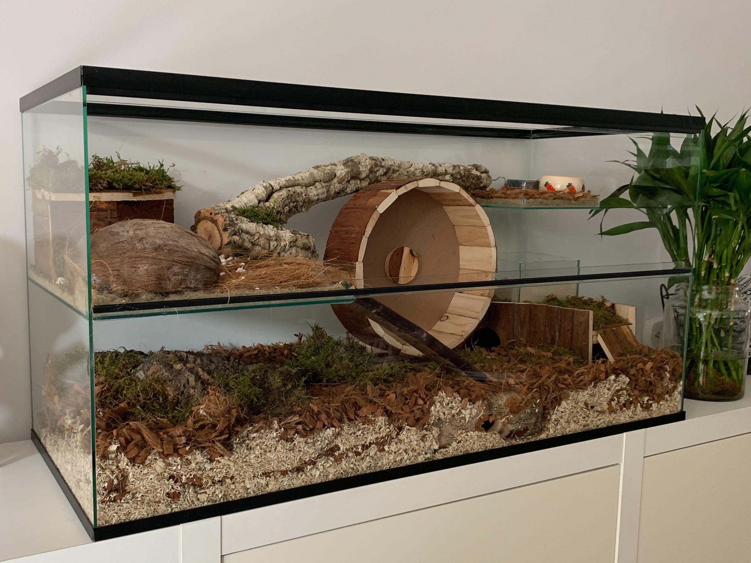 etiket dynamisch heel 100x40x50 Gerbilarium - Gerbil Fokkerij Queenies