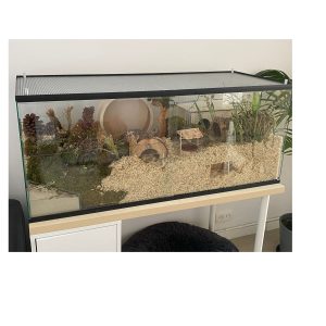 Gerbilarium 100x40x50 met grote schuifruiten