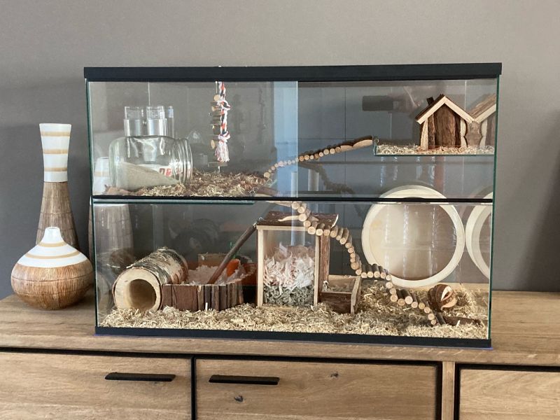 Gerbil terrarium kopen